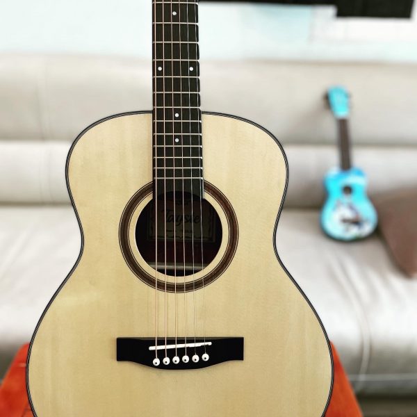 dan Guitar mini Tayste TS-24-36 size 3:4 36 inch5