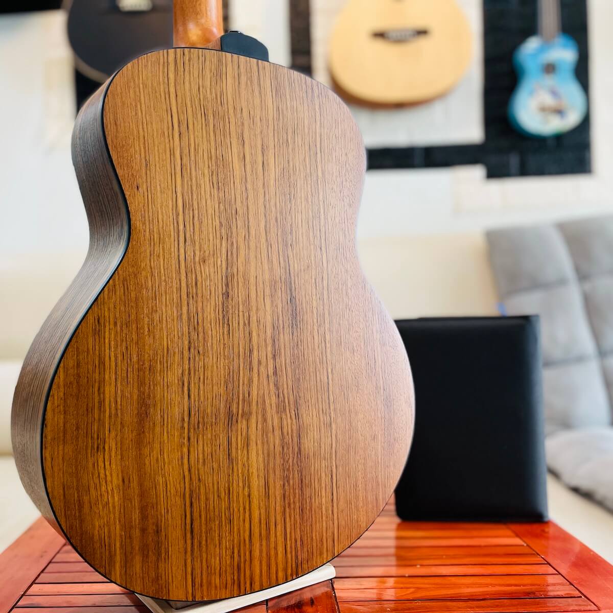 Guitar mini Tayste TS-25-36 size 3/4 36 inch gỗ Zebra