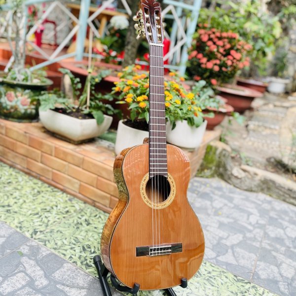 Đàn guitar mini classic super cao cấp gỗ Koa mặt thông solid KS-36