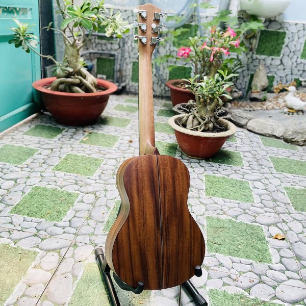 Guitarlele gỗ Điệp nguyên tấm sơn mờ DM-30